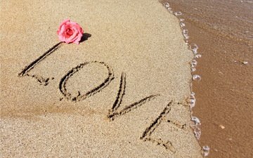 песок, пляж, роза, любовь, романтик, песка, влюбленная