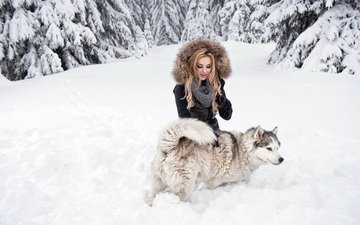 снег, лес, девушка, блондинка, взгляд, собака, хаски