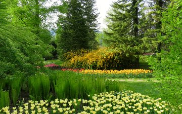 цветы, трава, деревья, зелень, парк, словения, mozirski gaj