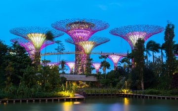 деревья, вечер, дизайн, парк, иллюминация, пальмы, пруд, строение, сингапур, gardens by the bay