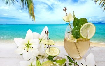 небо, море, пляж, лето, фрукты, лимон, лайм, коктейль, напитки, неба, fruits, летнее, легкие