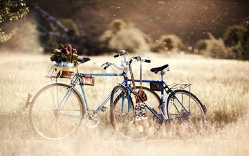 цветы, трава, деревья, природа, велосипед, боке