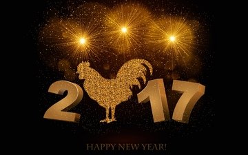 новый год, птица, черный фон, символ года, 2017