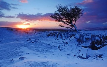 горы, восход, снег, дерево, зима, рассвет, англия, уэльс, brecon beacons national park, национальный парк брекон-биконс