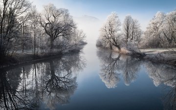 деревья, река, природа, зима, отражение