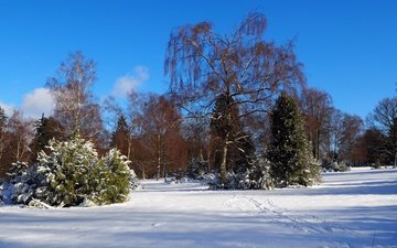 небо, деревья, снег, природа, зима, пейзаж, следы