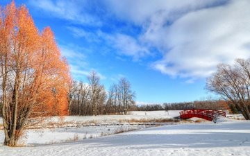 деревья, снег, зима, парк, мост, краски