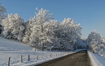 небо, дорога, деревья, снег, зима, ветки, иней