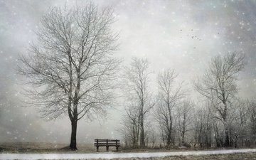 снег, дерево, зима, скамья
