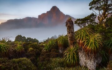 австралия, тасмания, south west national park