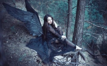 лес, девушка, крылья, ангел, черные крылья