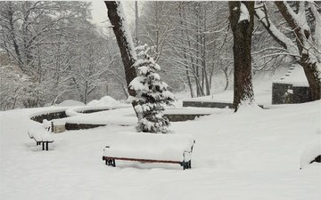 деревья, снег, зима, парк, мороз, скамейки, сугробы, изморозь