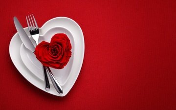 фон, роза, романтик, краcный, день святого валентина, влюбленная, валентинов день, сердечка