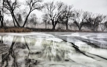 деревья, река, зима, отражение, лёд