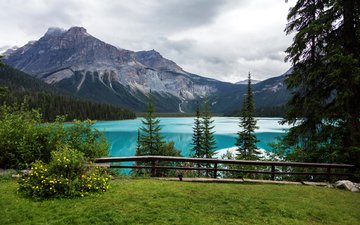 деревья, озеро, горы, вид, канада, смотровая площадка, йохо национальный парк