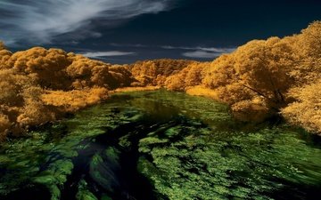 река, природа, infrared, зеленая река, желтый лес, ик-фото
