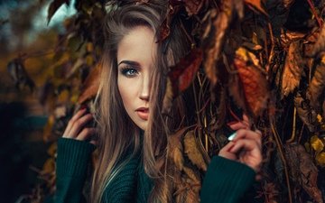 листья, девушка, блондинка, портрет, взгляд, осень, модель, волосы, лицо, позирует