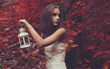 лес, девушка, платье, брюнетка, осень, модель, фонарь, ксения кокорева