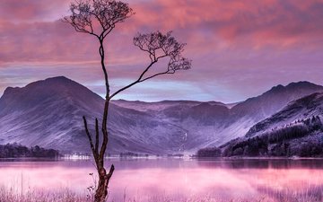 небо, озеро, горы, природа, дерево, одинокое дерево, сухое дерево, фиолетовый закат