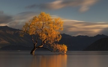 вода, озеро, горы, природа, дерево, осень, новая зеландия
