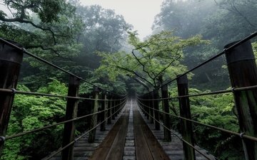 деревья, природа, мост, япония, дымка