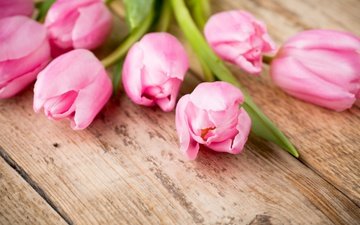 цветы, букет, тюльпаны, розовые, дерева, красива, тульпаны,  цветы, парное, пинк