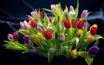 цветы, листья, фон, разноцветные, букет, тюльпаны