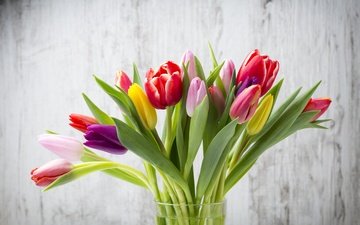 цветы, букет, тюльпаны, дерева, тульпаны,  цветы, красочная