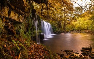 деревья, река, водопад, осень, англия, уэльс, brecon beacons national park, национальный парк брекон-биконс, sgwd ddwli uchaf
