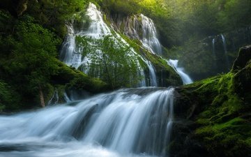 река, природа, зелень, лес, лето, водопад, сша, весна, panther creek falls