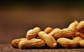 орехи, скорлупа, арахис, орешки, земляной орех, alexas_fotos, оболочка