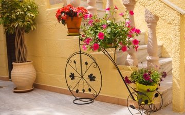 цветы, лестница, винтаж, ретро, велосипед, декор, садовые цветочки