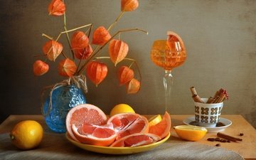 фрукты, бокал, лимон, апельсин, физалис, цитрусы