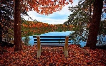 небо, деревья, озеро, природа, лес, листья, осень, скамейка