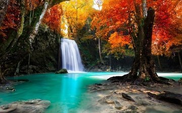 деревья, природа, водопад, осень, тропики