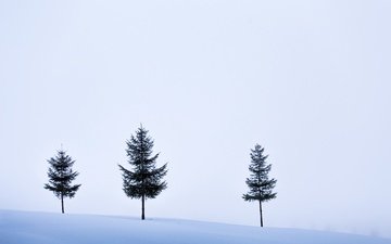 небо, деревья, снег, зима, поле