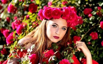 цветы, девушка, портрет, розы, взгляд, волосы, лицо, венок