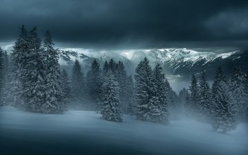 деревья, горы, снег, природа, лес, зима, пасмурно