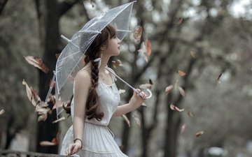 природа, листья, девушка, настроение, платье, взгляд, осень, зонт, азиатка, косички
