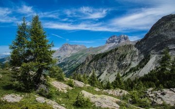 деревья, горы, природа, франция, альпы, la grande seolane