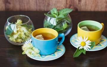 цветы, мята, ромашка, лимон, чашка, чай, травы