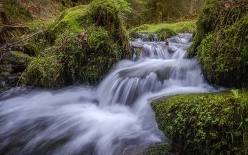 вода, природа, поток, мох