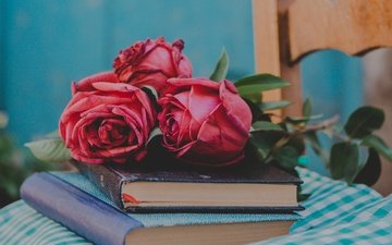 цветы, бутоны, стиль, розы, книги