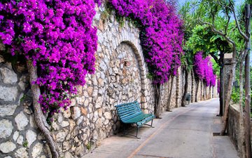 цветы, дорожка, стена, улица, италия, романтика, скамейка