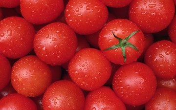 текстура, капли, овощи, помидоры, томаты