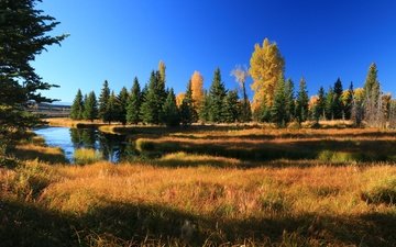 деревья, река, горы, осень, сша, вайоминг, гранд-титон, гранд -титон национальный парк