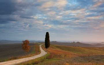 небо, дорога, облака, дерево, поле, италия, тоскана