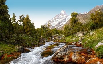деревья, река, горы, камни, река пасруд, алаудины, фанские горы, таджикистан