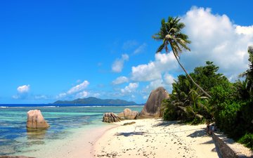 море, пляж, пальмы, отдых, остров, тропики, сейшелы
