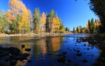 деревья, река, горы, отражение, осень, сша, вайоминг, гранд-титон, гранд -титон национальный парк
